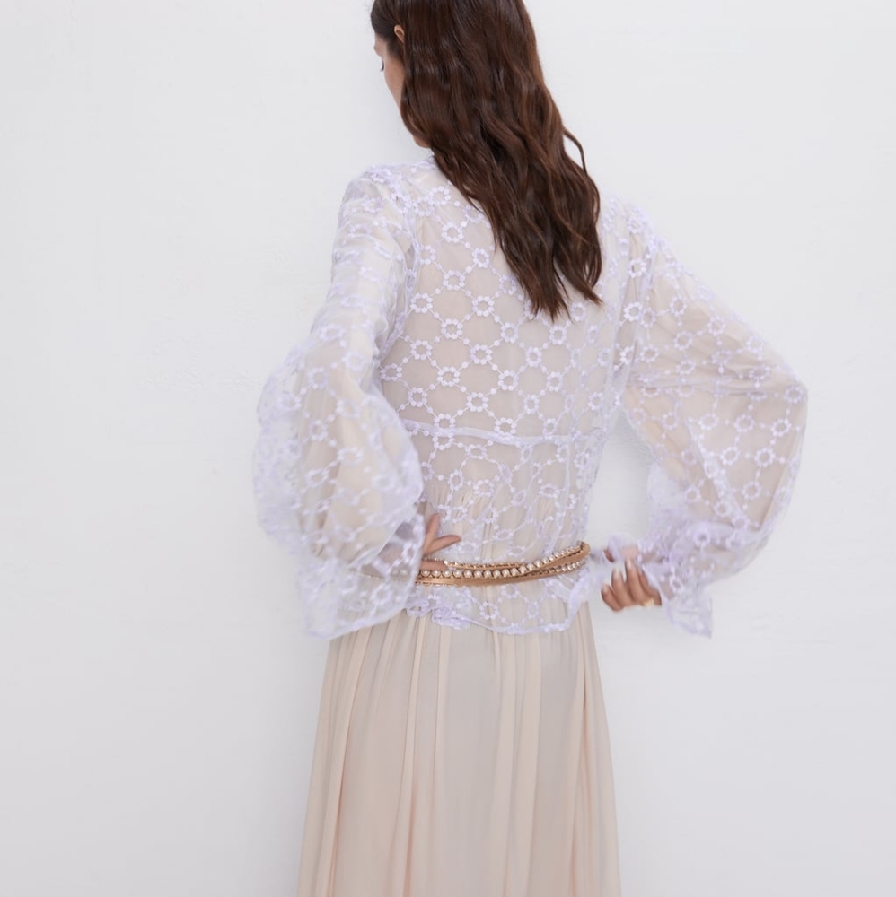 NWT, ZARA Embroidered Sheer Blouse